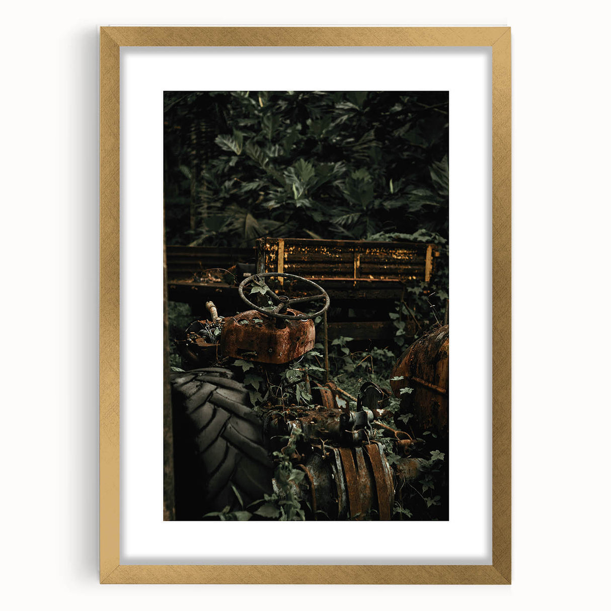 Rustic Wall Art - Abandoned Tractor Overgrown with Vines, Farmhouse Decor