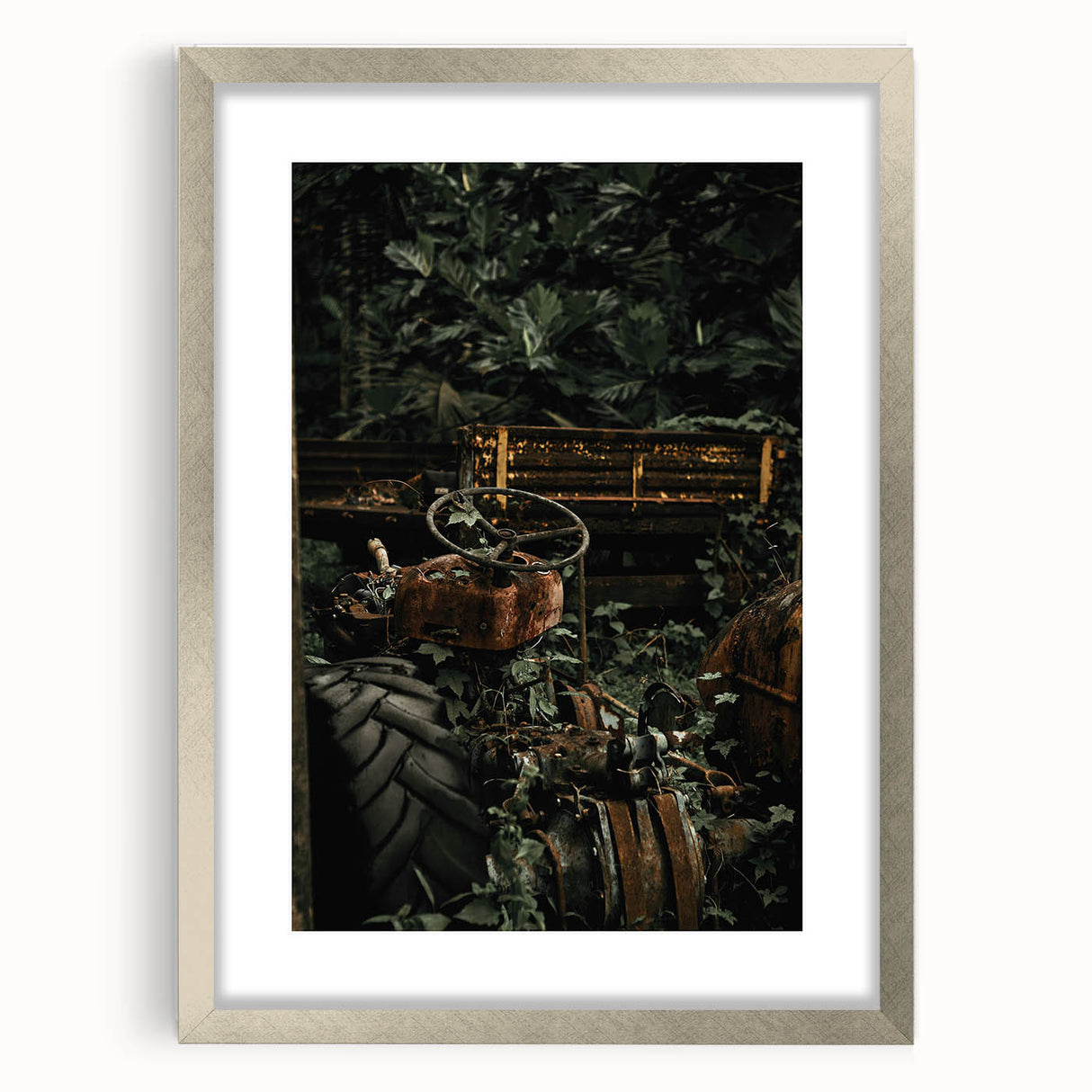 Rustic Wall Art - Abandoned Tractor Overgrown with Vines, Farmhouse Decor