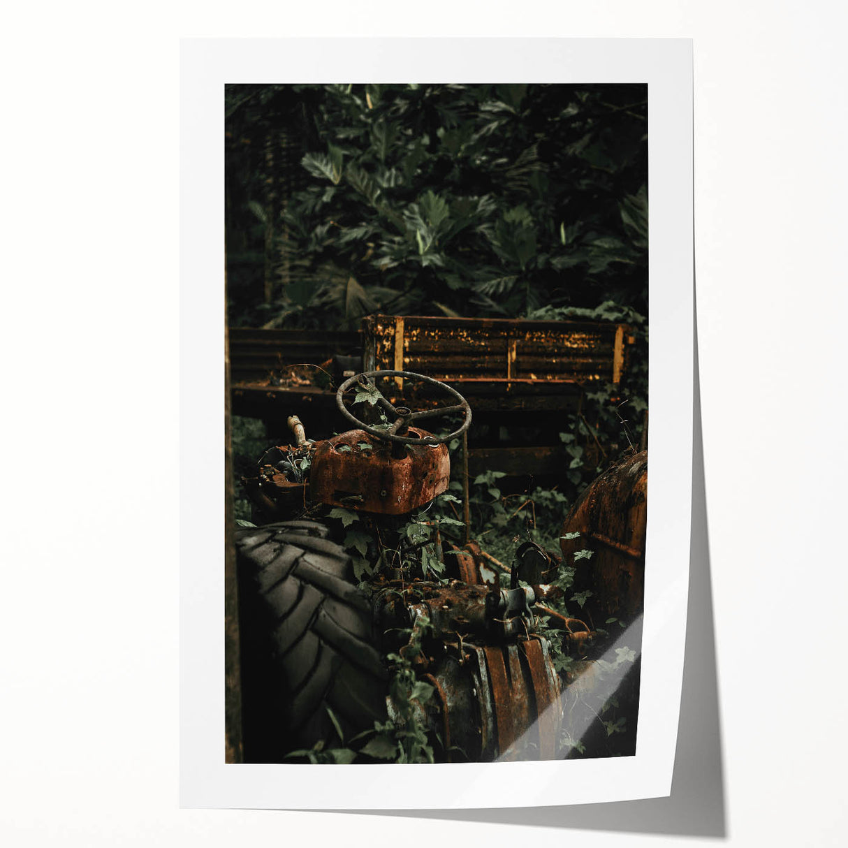 Rustic Wall Art - Abandoned Tractor Overgrown with Vines, Farmhouse Decor