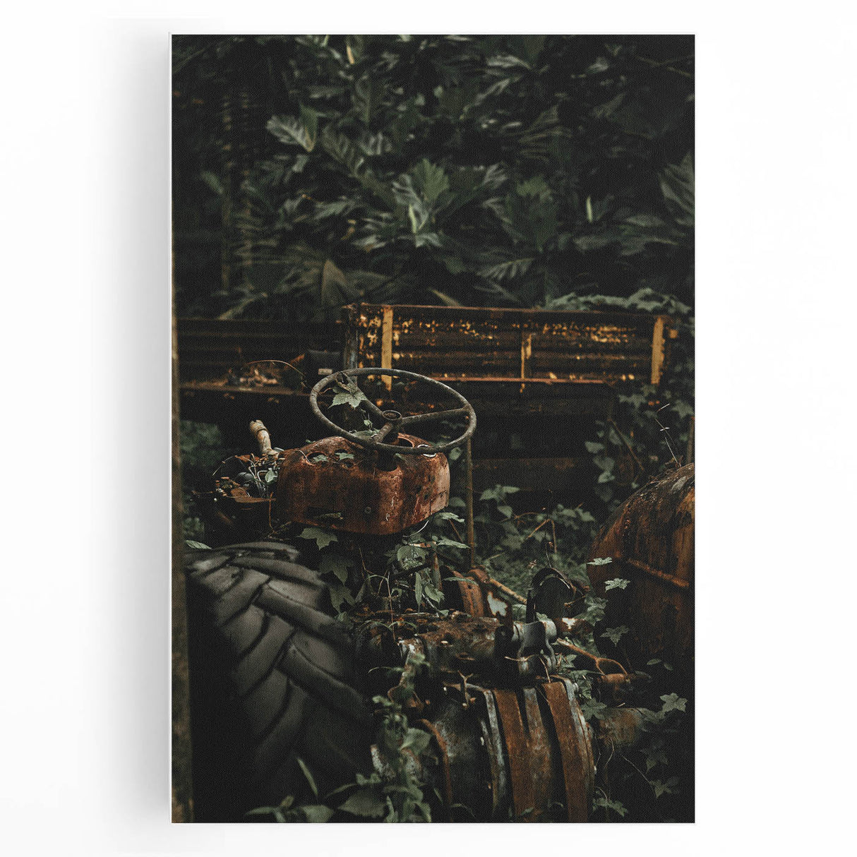 Rustic Wall Art - Abandoned Tractor Overgrown with Vines, Farmhouse Decor