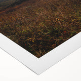 Rustic Wall Art - Expansive Mountain Range Landscape, Farmhouse Decor Print