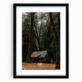 Rustic Wall Art - Cabin in the Woods, Farmhouse Decor, Cozy Nature Print