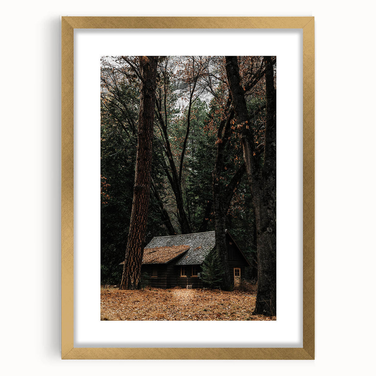 Rustic Wall Art - Cabin in the Woods, Farmhouse Decor, Cozy Nature Print