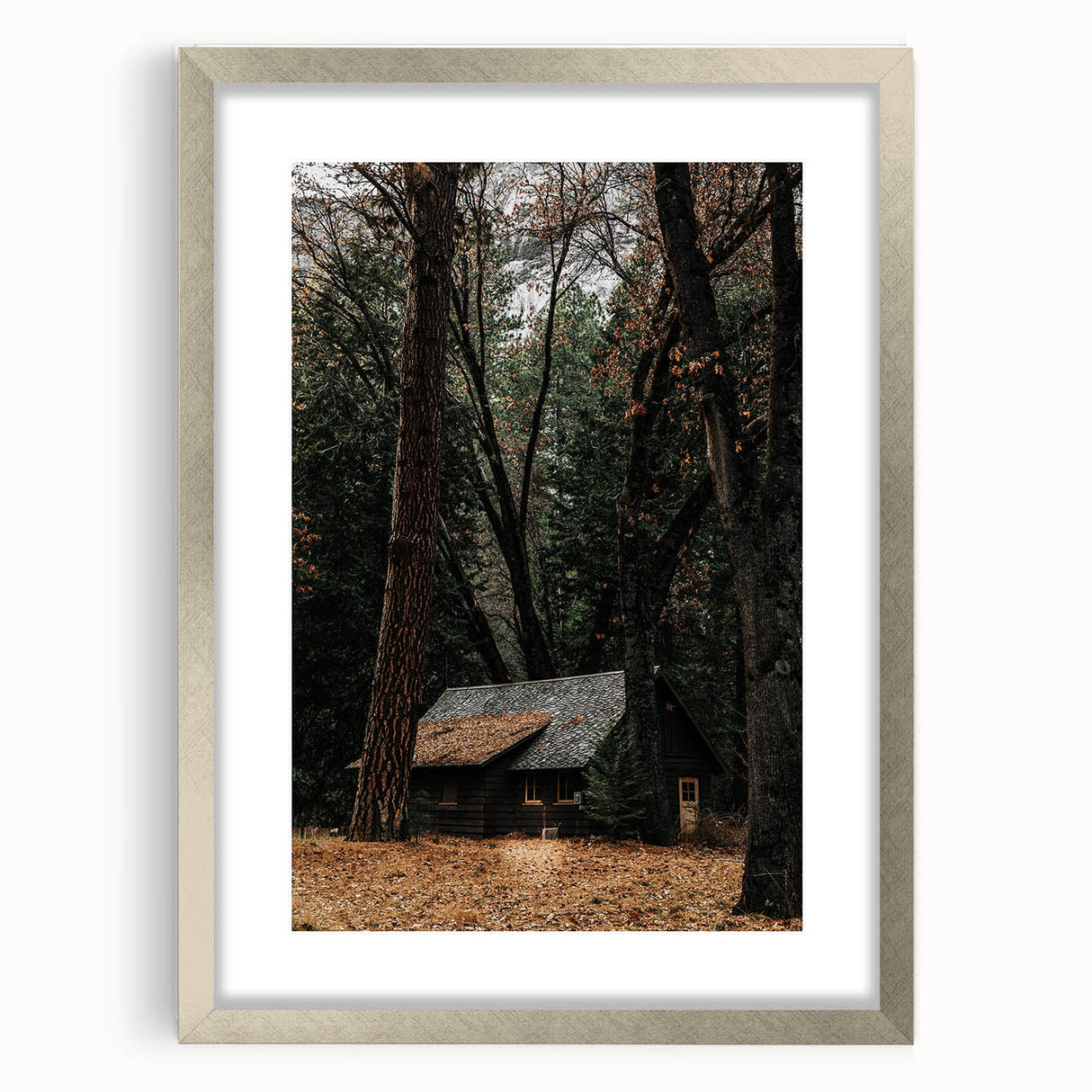 Rustic Wall Art - Cabin in the Woods, Farmhouse Decor, Cozy Nature Print