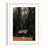Rustic Wall Art - Cabin in the Woods, Farmhouse Decor, Cozy Nature Print