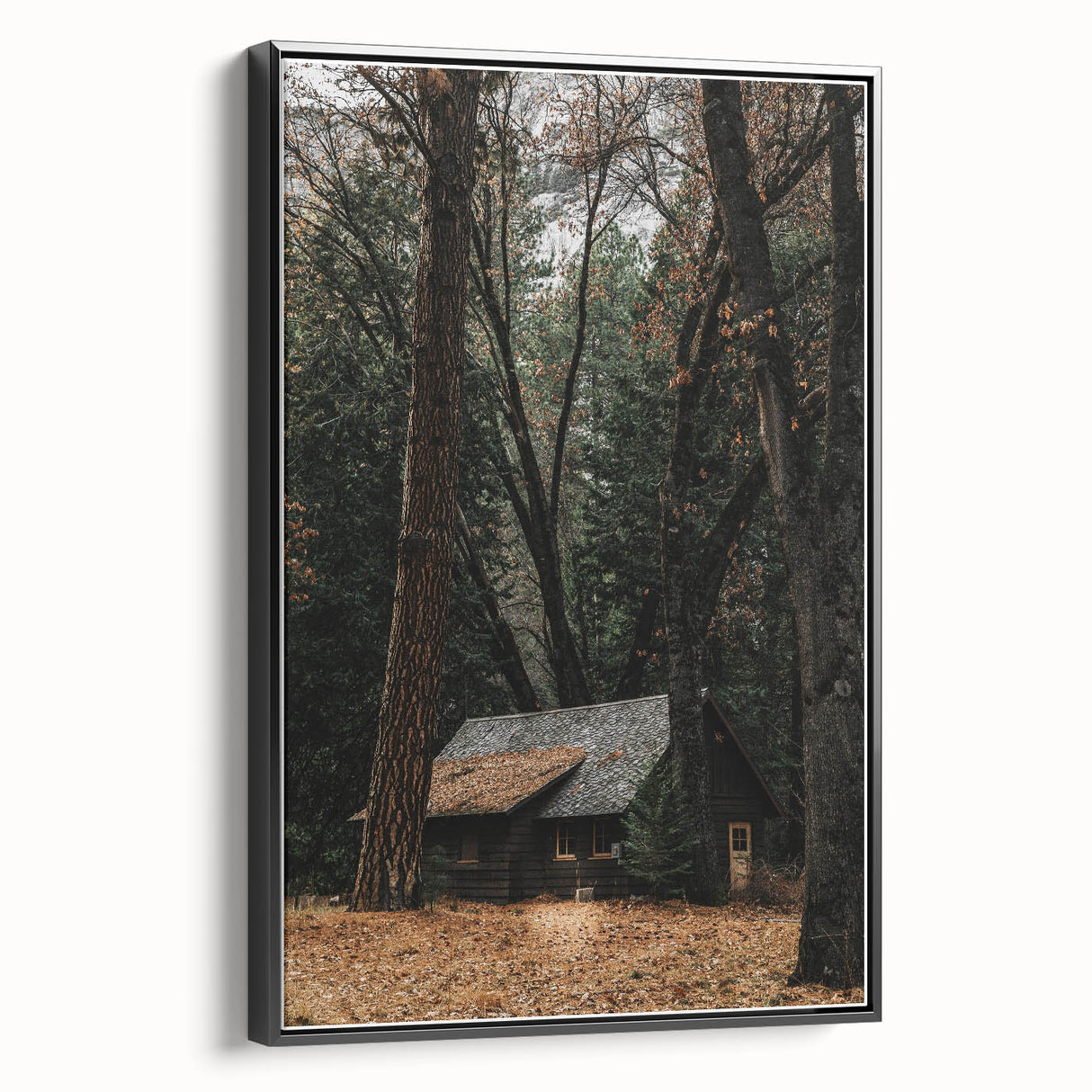 Rustic Wall Art - Cabin in the Woods, Farmhouse Decor, Cozy Nature Print