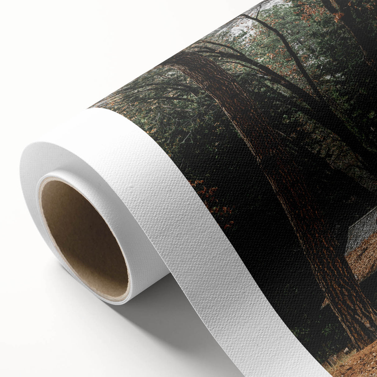 Rustic Wall Art - Cabin in the Woods, Farmhouse Decor, Cozy Nature Print