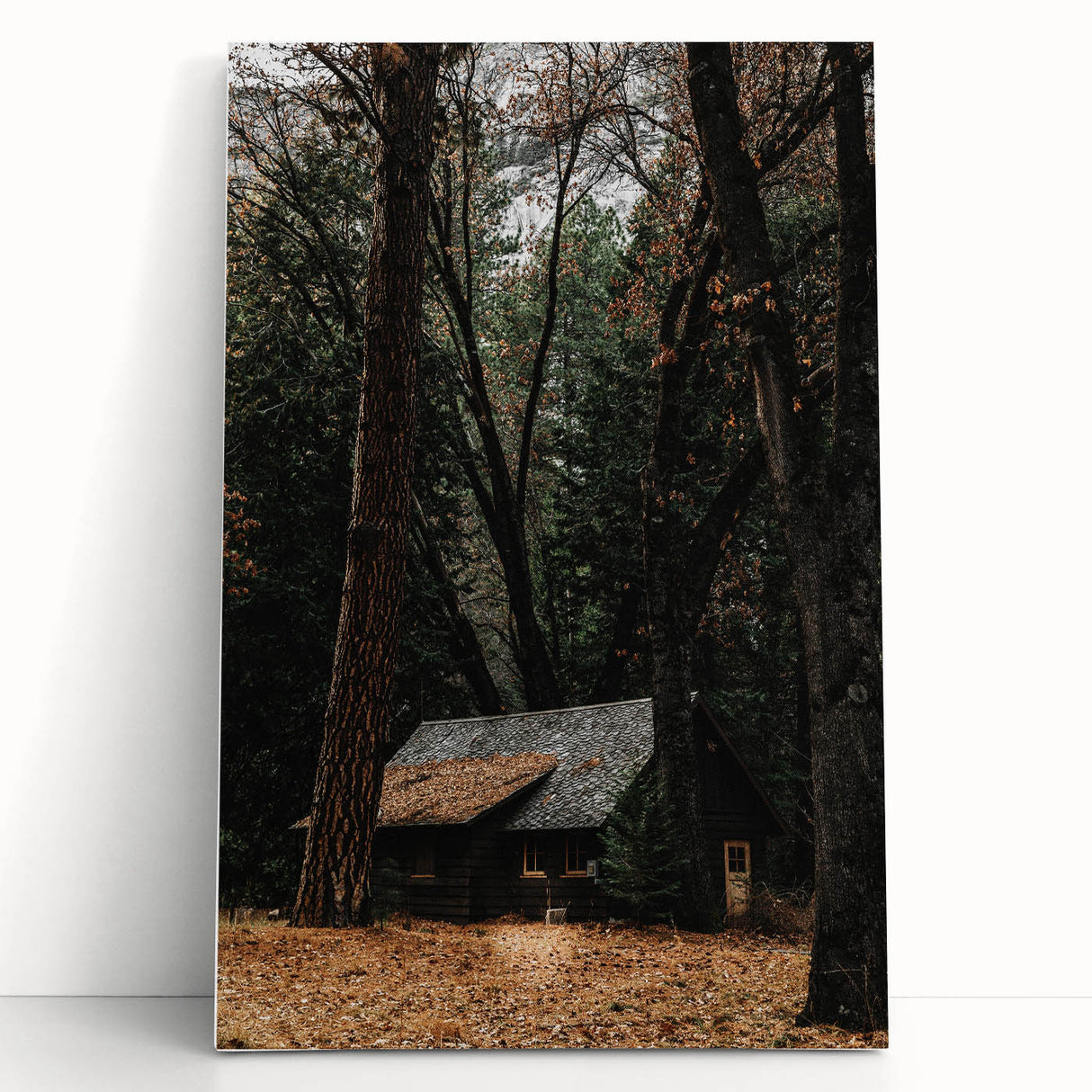Rustic Wall Art - Cabin in the Woods, Farmhouse Decor, Cozy Nature Print