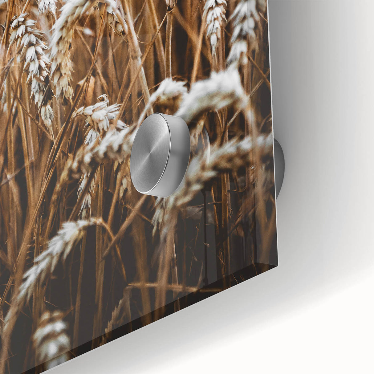Rustic Wall Art - Golden Wheat Field Print, Farmhouse Decor