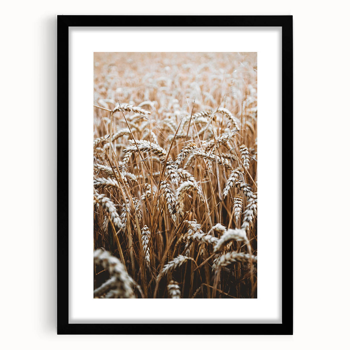 Rustic Wall Art - Golden Wheat Field Print, Farmhouse Decor