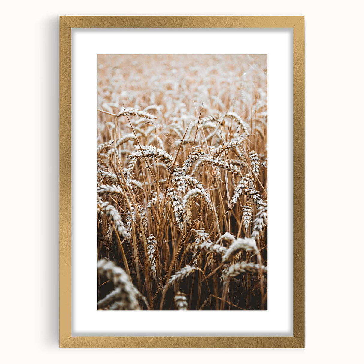 Rustic Wall Art - Golden Wheat Field Print, Farmhouse Decor