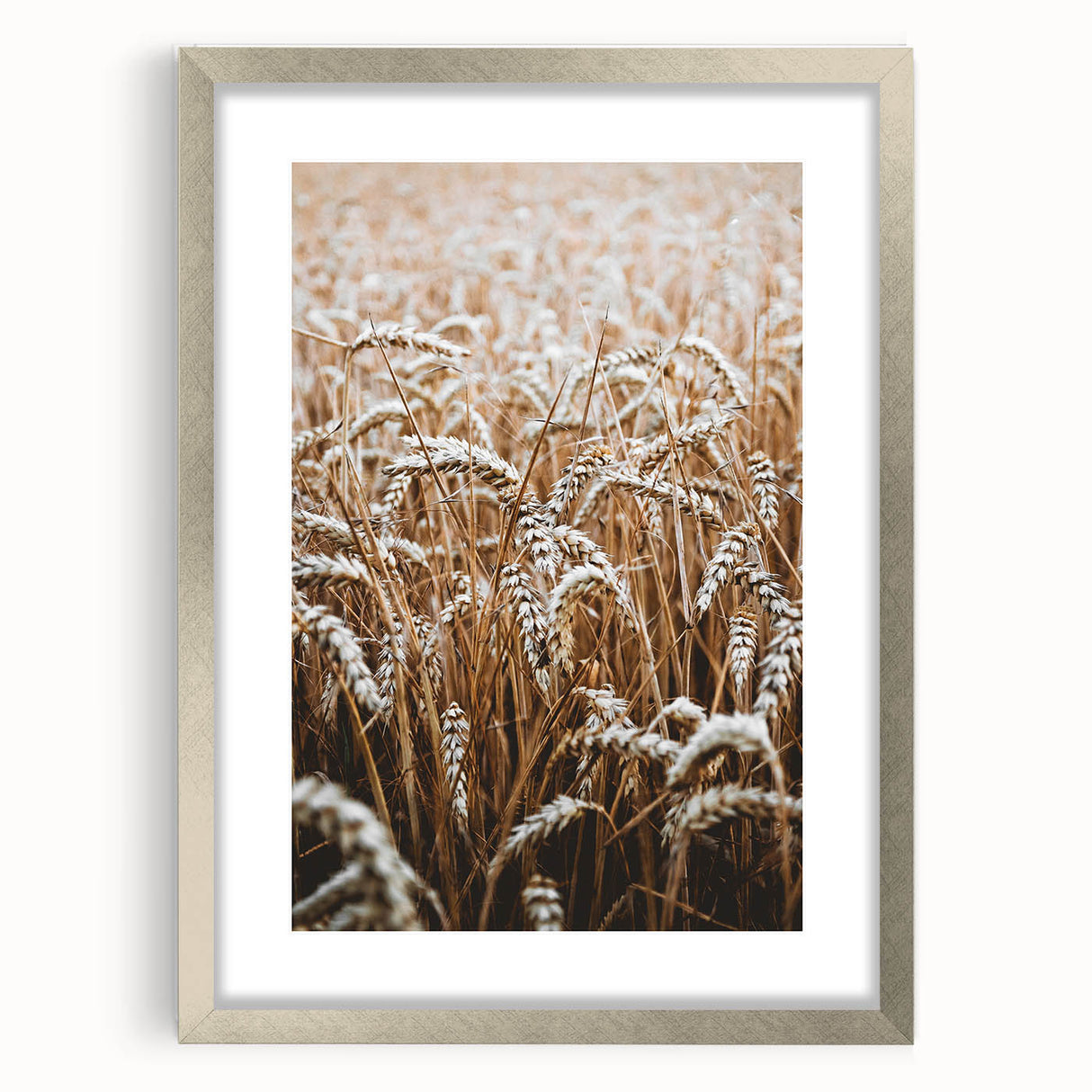 Rustic Wall Art - Golden Wheat Field Print, Farmhouse Decor