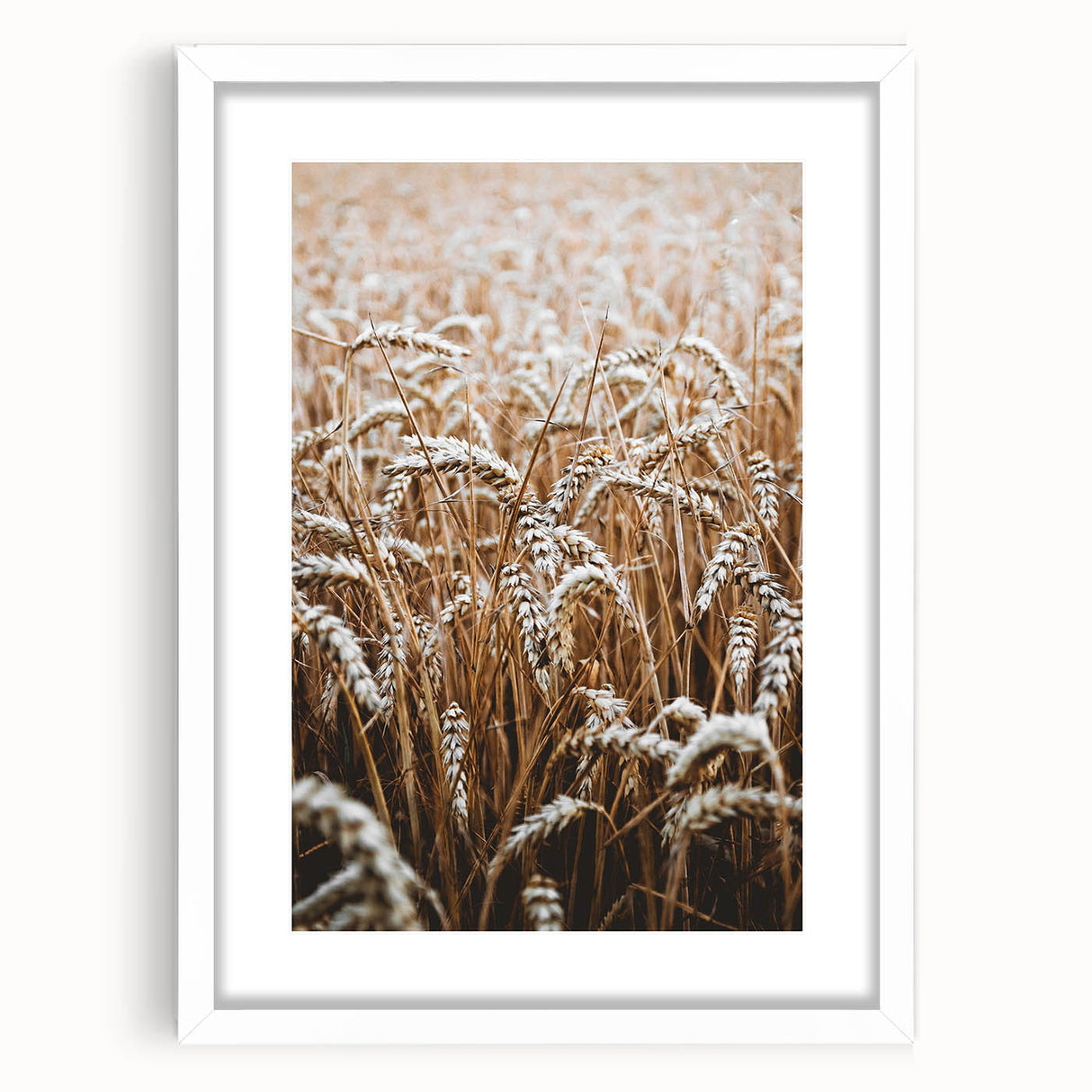 Rustic Wall Art - Golden Wheat Field Print, Farmhouse Decor