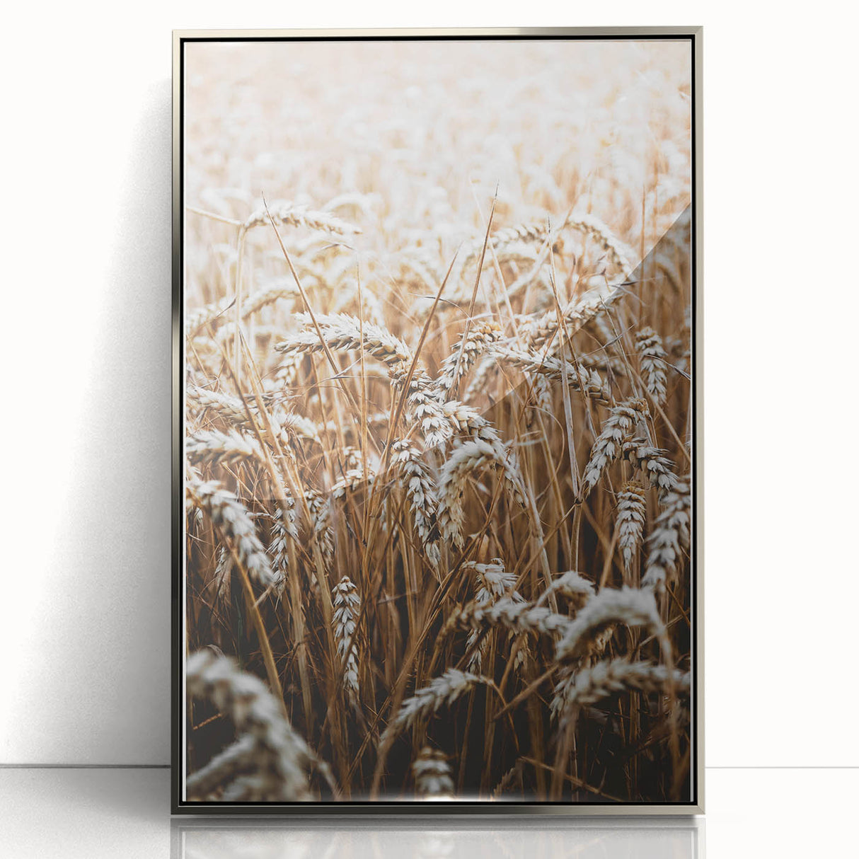 Rustic Wall Art - Golden Wheat Field Print, Farmhouse Decor