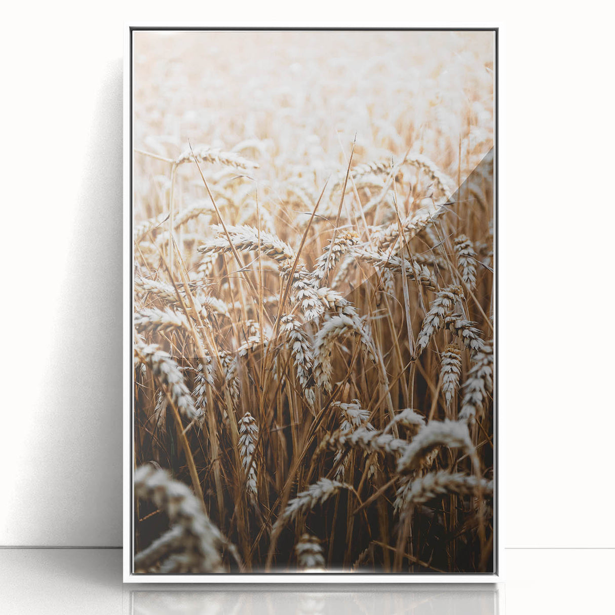 Rustic Wall Art - Golden Wheat Field Print, Farmhouse Decor
