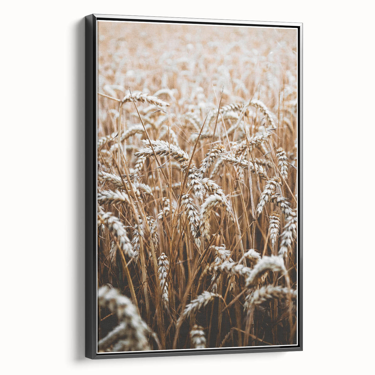 Rustic Wall Art - Golden Wheat Field Print, Farmhouse Decor