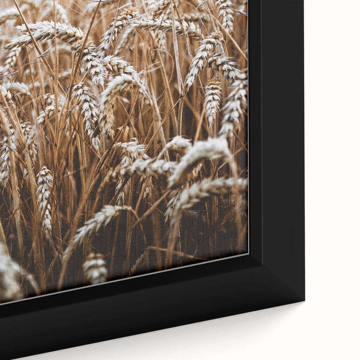 Rustic Wall Art - Golden Wheat Field Print, Farmhouse Decor