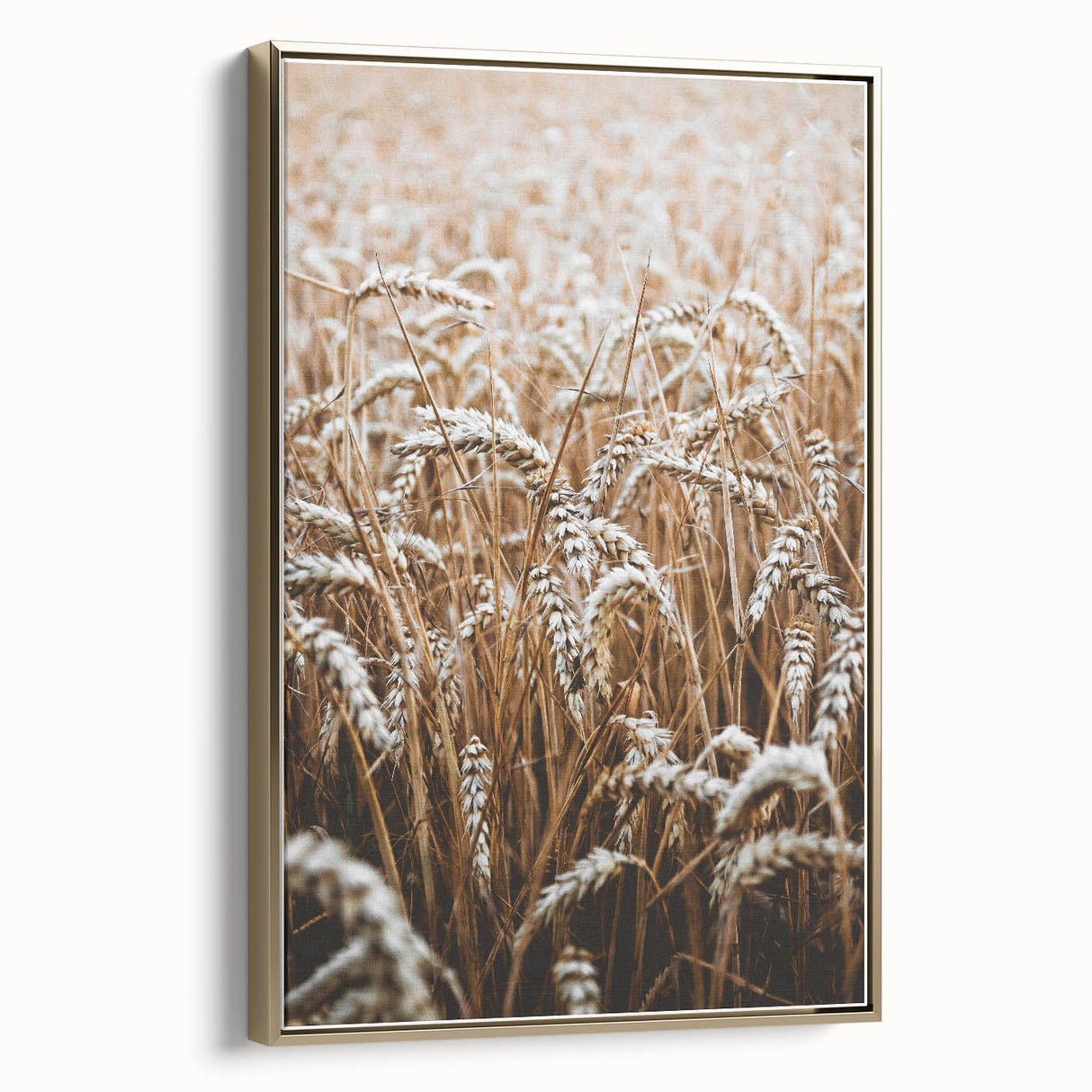 Rustic Wall Art - Golden Wheat Field Print, Farmhouse Decor