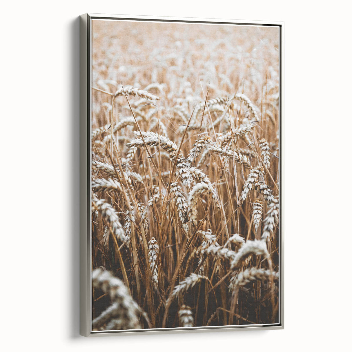 Rustic Wall Art - Golden Wheat Field Print, Farmhouse Decor