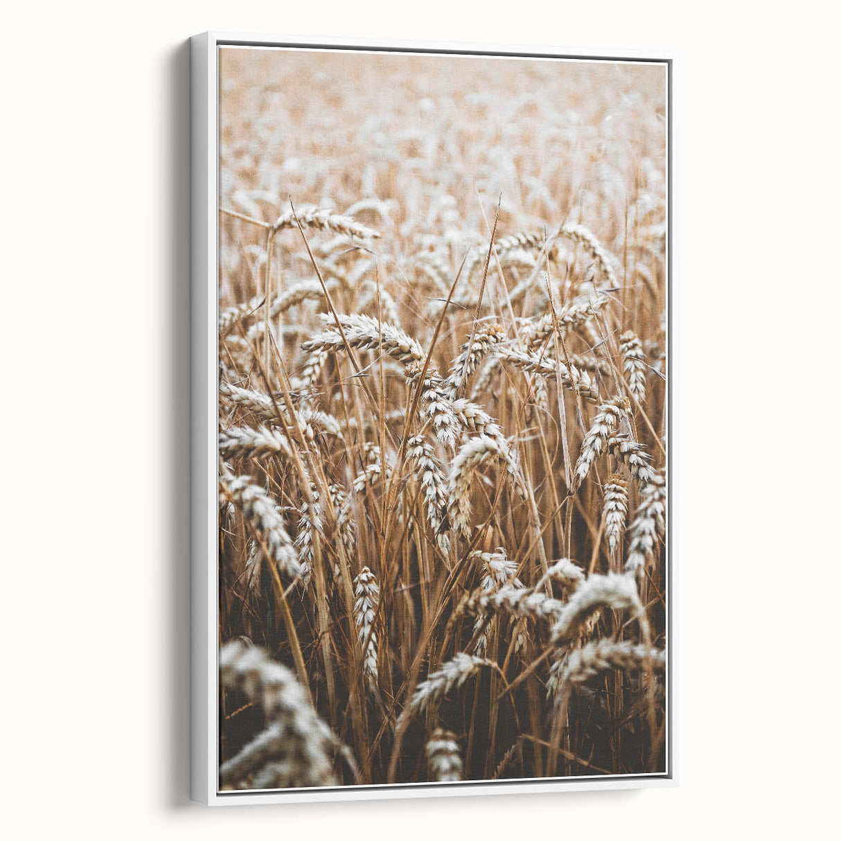 Rustic Wall Art - Golden Wheat Field Print, Farmhouse Decor