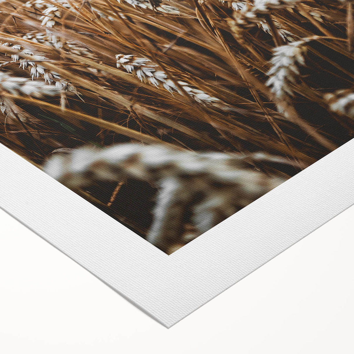 Rustic Wall Art - Golden Wheat Field Print, Farmhouse Decor