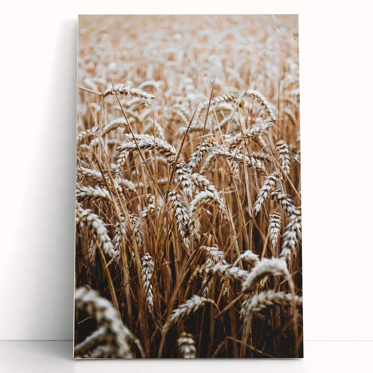 Rustic Wall Art - Golden Wheat Field Print, Farmhouse Decor