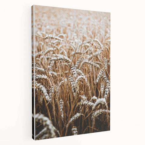 Rustic Wall Art - Golden Wheat Field Print, Farmhouse Decor