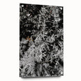 Rustic Wall Art - Frosted Evergreen Branches for Winter Wonderland Decor