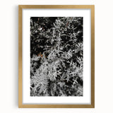 Rustic Wall Art - Frosted Evergreen Branches for Winter Wonderland Decor