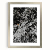 Rustic Wall Art - Frosted Evergreen Branches for Winter Wonderland Decor