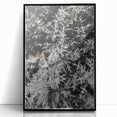 Rustic Wall Art - Frosted Evergreen Branches for Winter Wonderland Decor