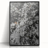 Rustic Wall Art - Frosted Evergreen Branches for Winter Wonderland Decor