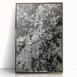 Rustic Wall Art - Frosted Evergreen Branches for Winter Wonderland Decor
