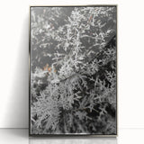 Rustic Wall Art - Frosted Evergreen Branches for Winter Wonderland Decor