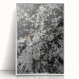 Rustic Wall Art - Frosted Evergreen Branches for Winter Wonderland Decor