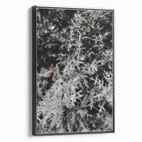 Rustic Wall Art - Frosted Evergreen Branches for Winter Wonderland Decor