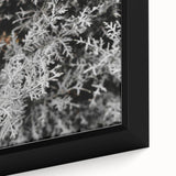 Rustic Wall Art - Frosted Evergreen Branches for Winter Wonderland Decor
