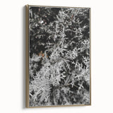 Rustic Wall Art - Frosted Evergreen Branches for Winter Wonderland Decor