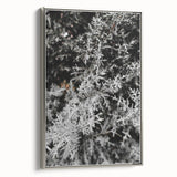 Rustic Wall Art - Frosted Evergreen Branches for Winter Wonderland Decor