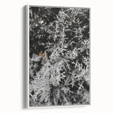 Rustic Wall Art - Frosted Evergreen Branches for Winter Wonderland Decor