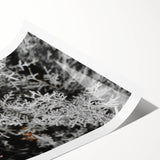 Rustic Wall Art - Frosted Evergreen Branches for Winter Wonderland Decor