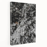 Rustic Wall Art - Frosted Evergreen Branches for Winter Wonderland Decor