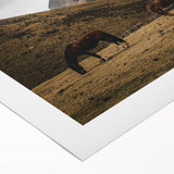 Mountain Grazing Horses, Rustic Landscape Wall Art Print