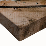 Rustic Wall Art - Dried Greenery Arrangement for Farmhouse Decor Charm