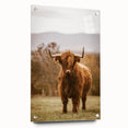 Rustic Wall Art - Highland Cow in Pasture for Farmhouse Nature Decor