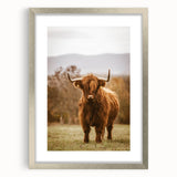 Rustic Wall Art - Highland Cow in Pasture for Farmhouse Nature Decor