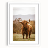 Rustic Wall Art - Highland Cow in Pasture for Farmhouse Nature Decor