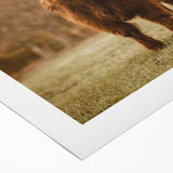 Rustic Wall Art - Highland Cow in Pasture for Farmhouse Nature Decor