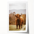 Rustic Wall Art - Highland Cow in Pasture for Farmhouse Nature Decor