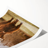 Rustic Wall Art - Highland Cow in Pasture for Farmhouse Nature Decor